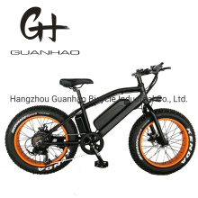 20inch 750W Fat Tire Mini Mountain Electric Bicycle